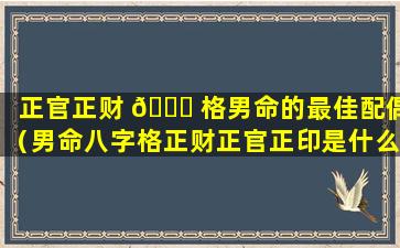 正官正财 🐅 格男命的最佳配偶（男命八字格正财正官正印是什么意思）